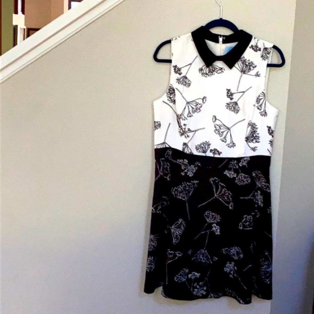 Nwot. Cece Dandelion Print Colorblock A-Line Dress - image 2